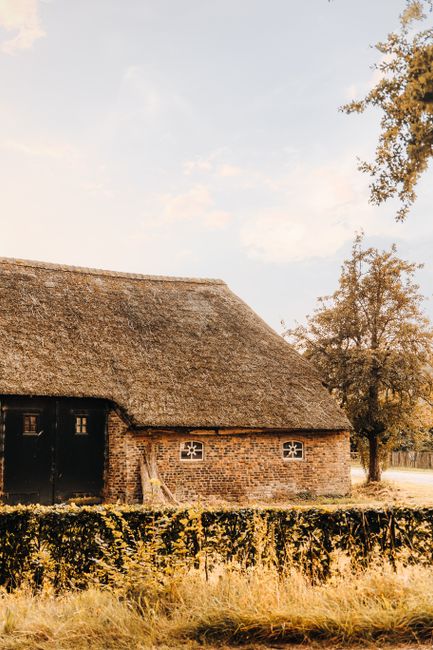 Photo by Eline Spee on pexels