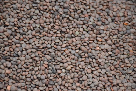 Lentil Grain Lentil Grain Sprouted Bread — kidney-friendly food