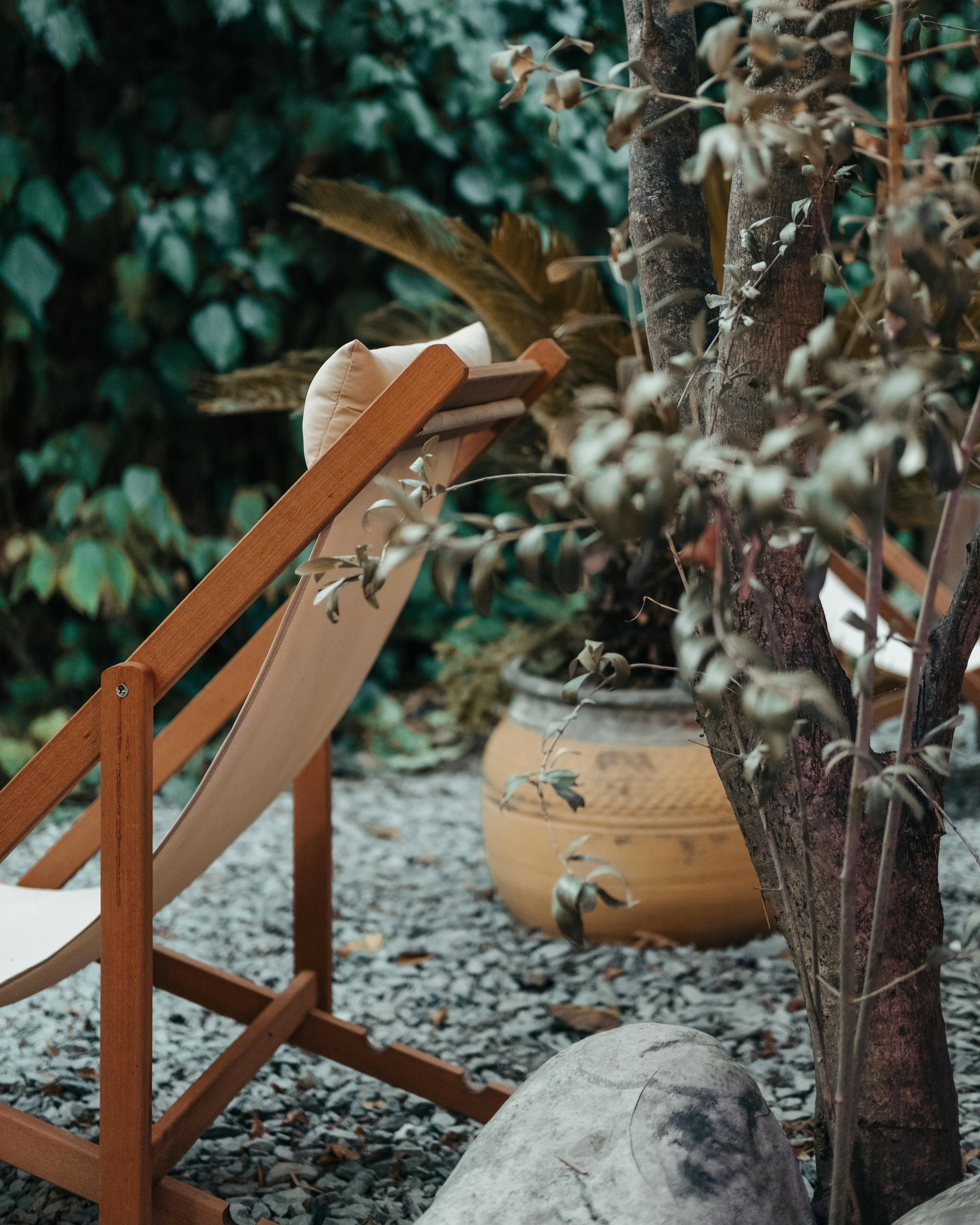 Serene outdoor garden scene with a wooden deck chair and lush greenery.