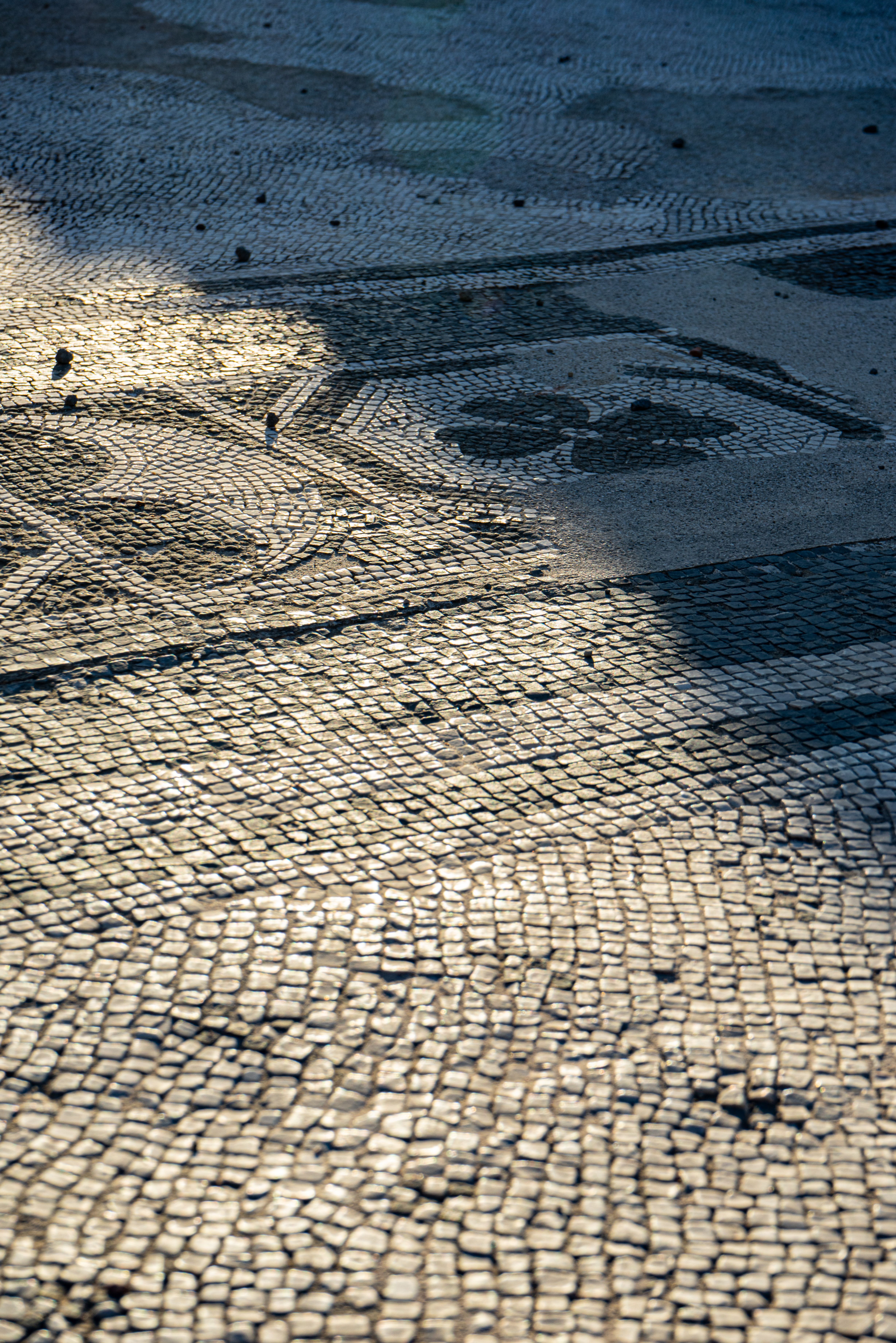 Tapis de pierre à Namur - Creative Solution