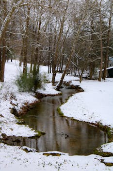 Peaceful winter landscape with a snow-covered stream and forest trees.