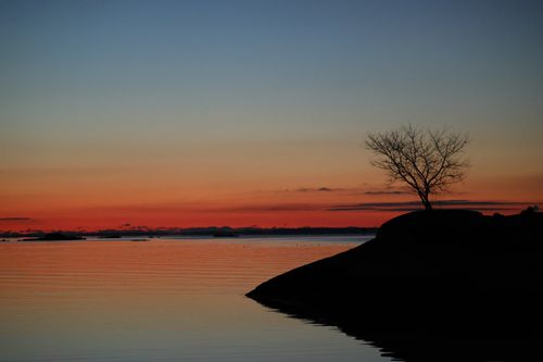 Free Serene winter sunrise with silhouetted tree at Stamford's Cove Island Park. Perfect dawn scenery. Stock Photo