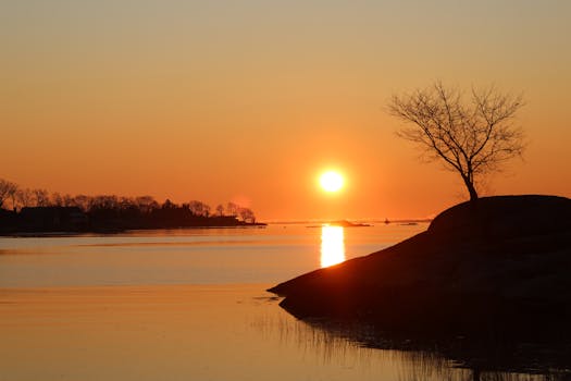 Breathtaking sunrise over Cove Island Park in Stamford, Connecticut with silhouetted trees.