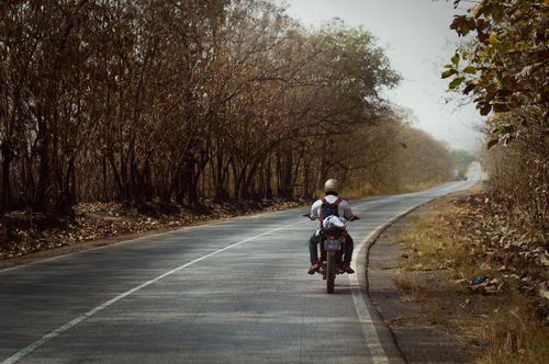 Free A lone motorcyclist rides along a winding rural road lined with dry, leafless trees during daytime. Stock Photo