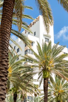 Classic Miami Beach Art Deco architecture framed by lush palm trees under a clear blue sky.