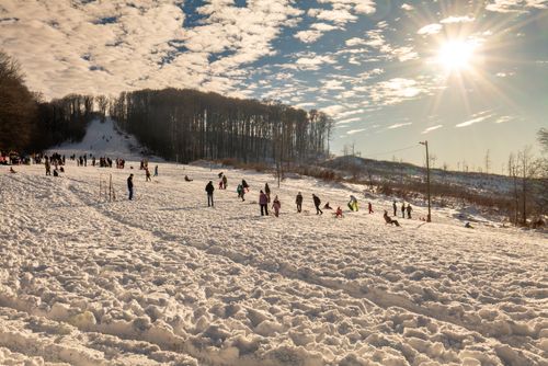 Free Families enjoy sledding in the snowy landscape of Daruvar, Croatia. Perfect winter recreation. Stock Photo