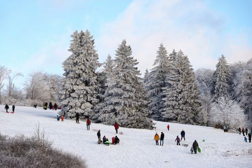Free People enjoying sledding on a snowy hill surrounded by frosty trees during a bright winter day. Stock Photo