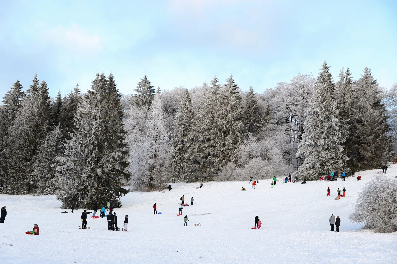 Family Fun - Winter in the Woods - Winter School Holidays