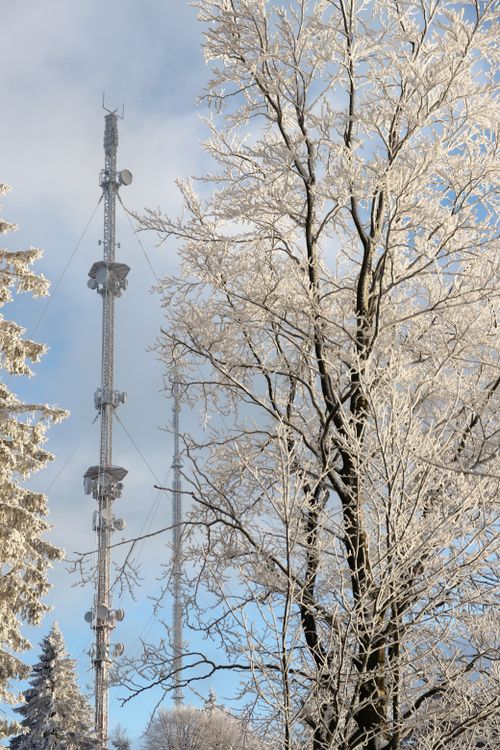 Free A serene winter scene featuring transmission towers amidst ice-covered trees. Stock Photo