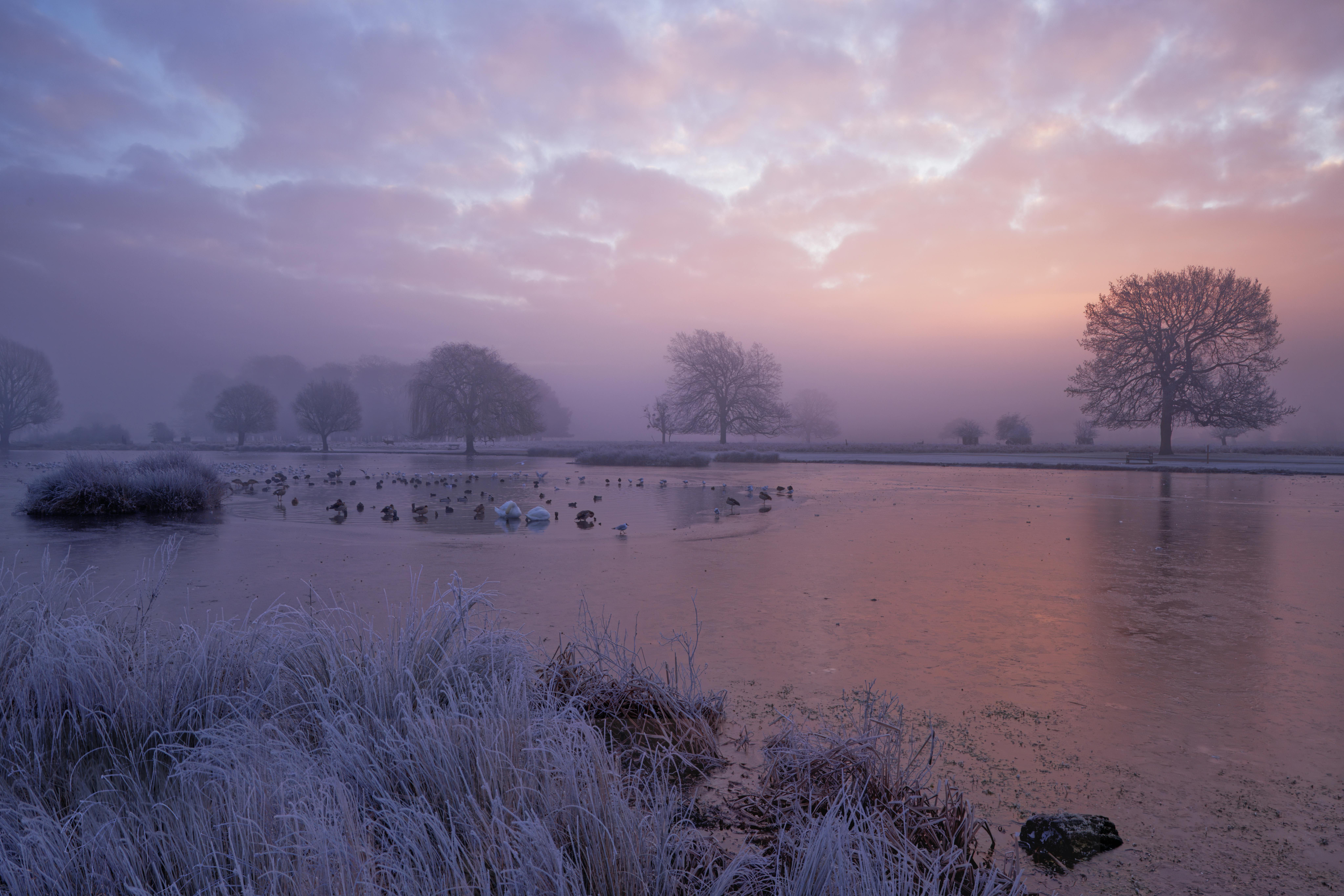 A serene winter sunrise over Heron Pond in Teddington, featuring frost-covered landscapes and peaceful water reflections.