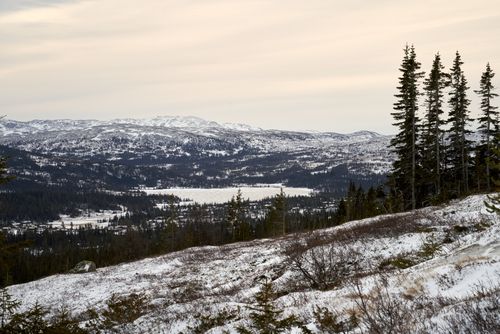 Free A serene winter landscape of snow-capped mountains and frozen lakes in Flå, Norway. Stock Photo
