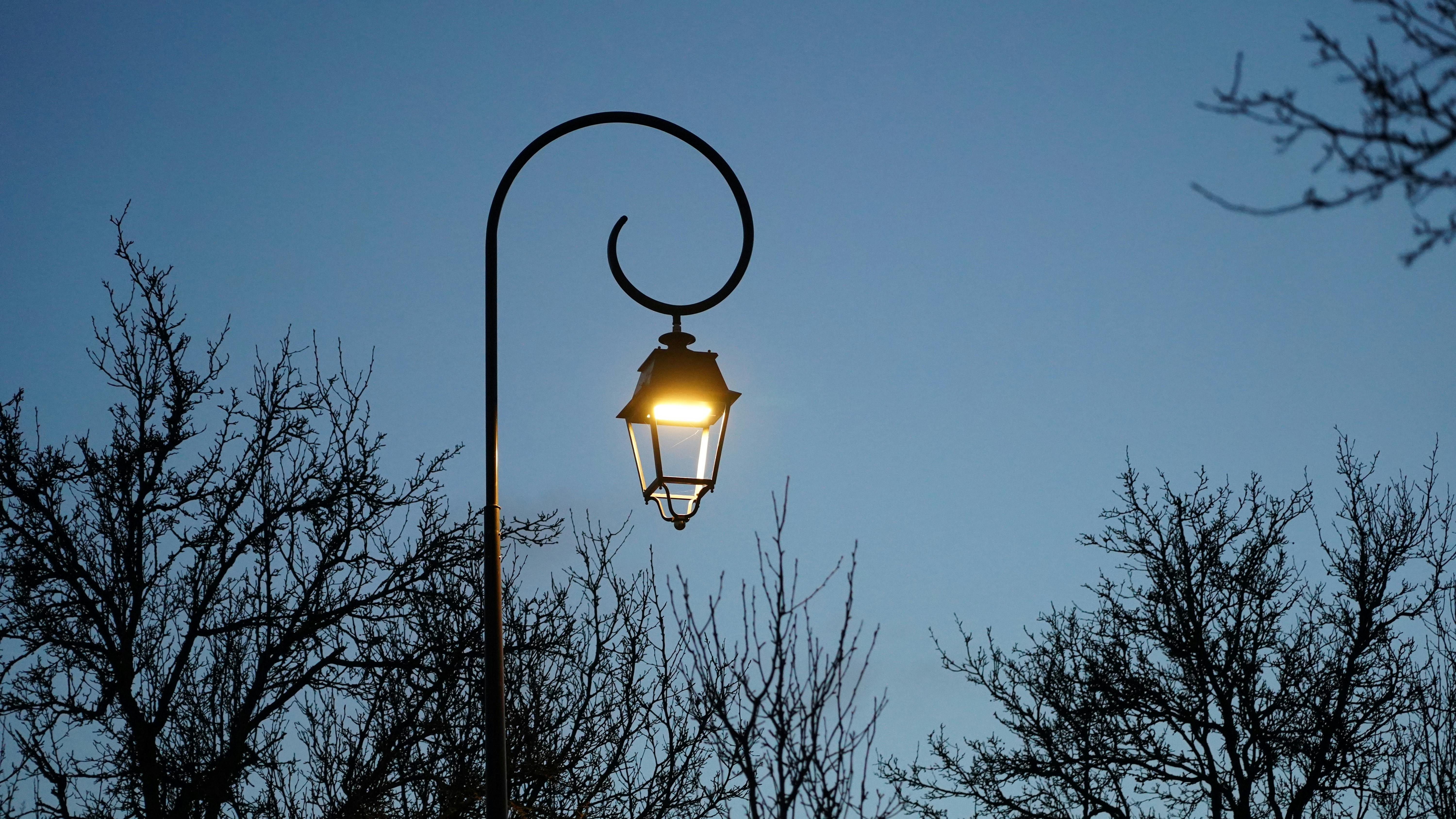 lamp natural light lifestyle photo 2