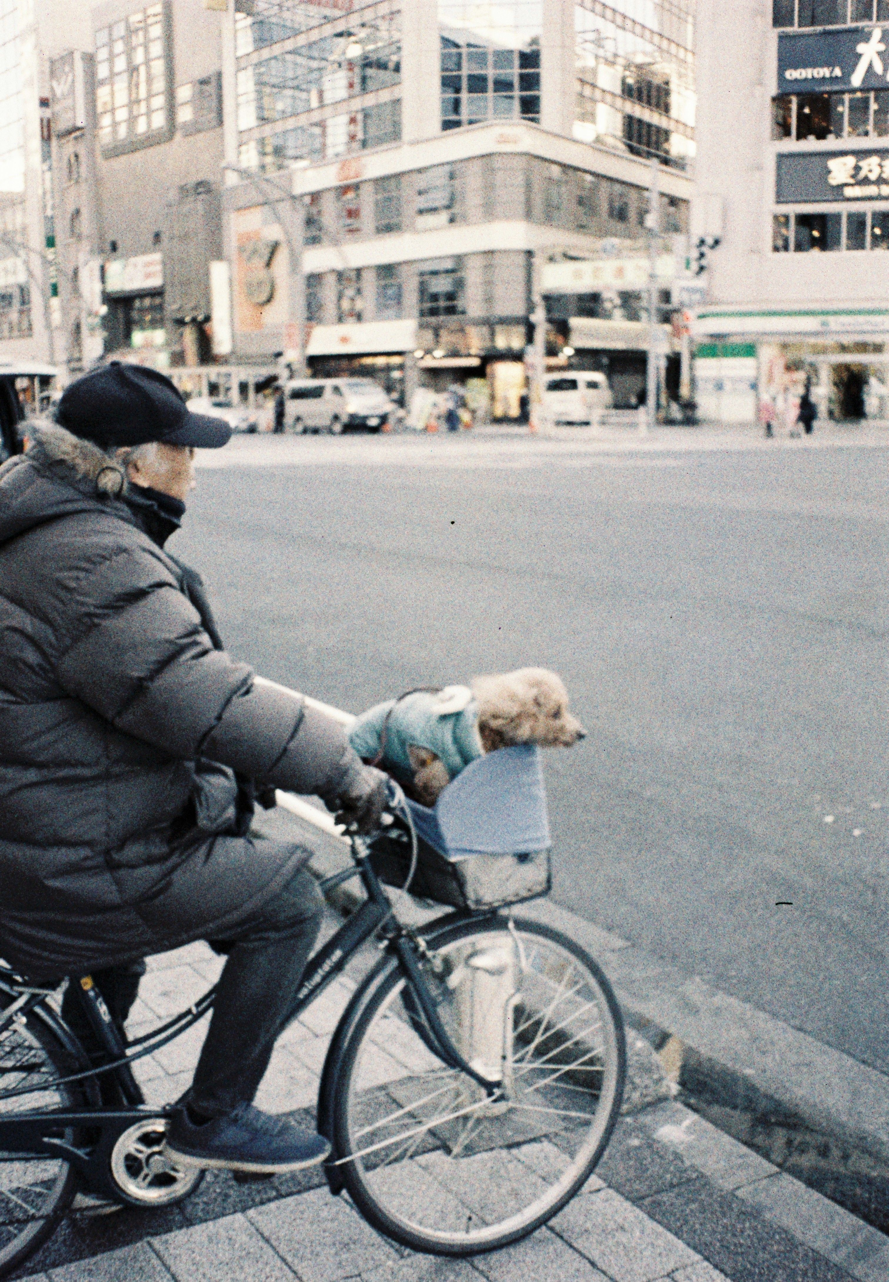 A cyclist with a small dog in Tokyo's bustling streets.