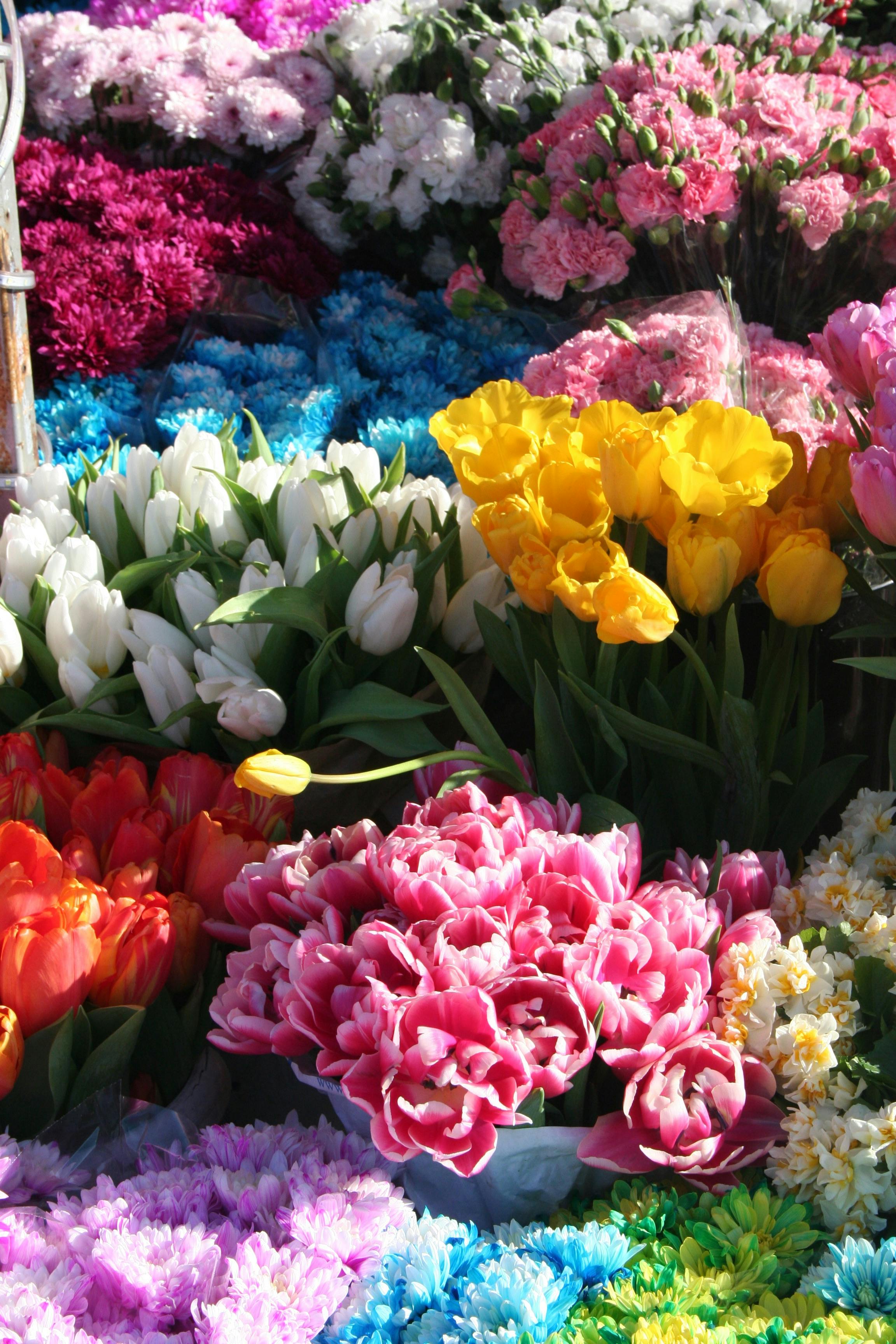 [ColoSach]-bright-and-colorful-tulip-arrangement-at-a-bustling-flower-market,-showcasing-nature's-beauty.