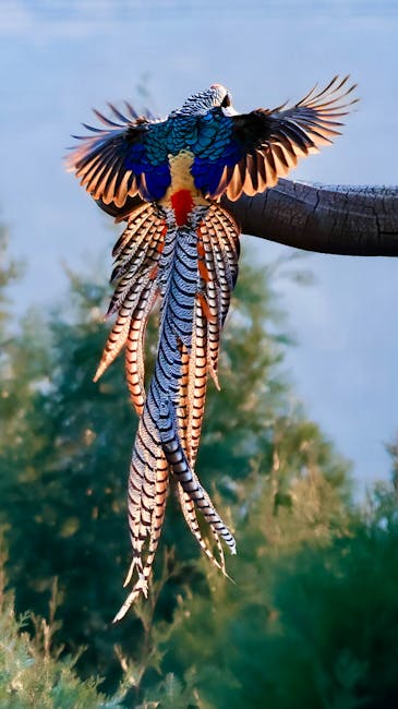 Birdwatching in Malaysia A Paradise for Ornithologists Birdwatching in Malaysia A Paradise for Ornithologists