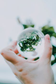 一只手小心翼翼地握住一个反射绿叶的玻璃球，营造出梦幻般的视觉效果