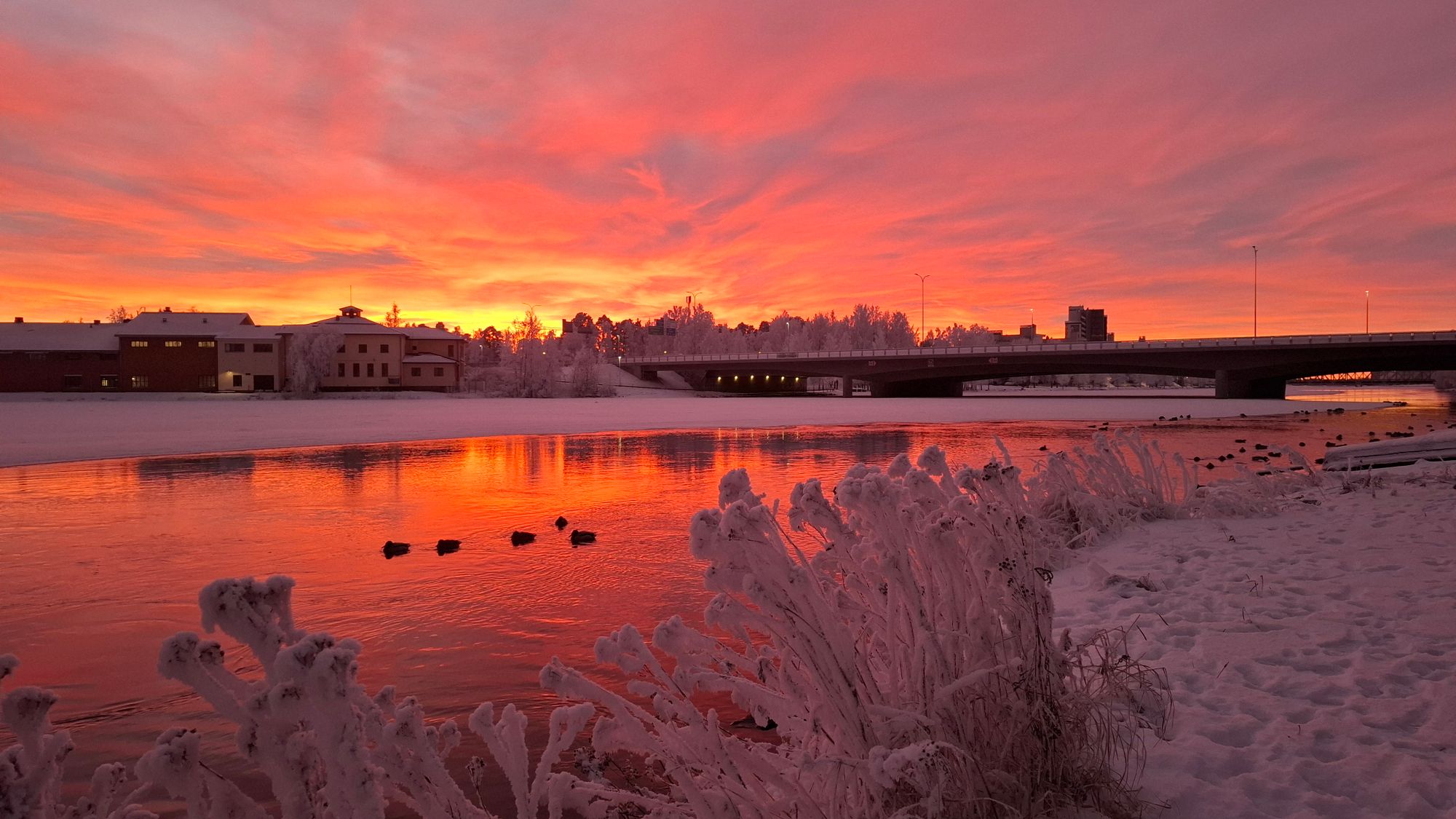 Luleå