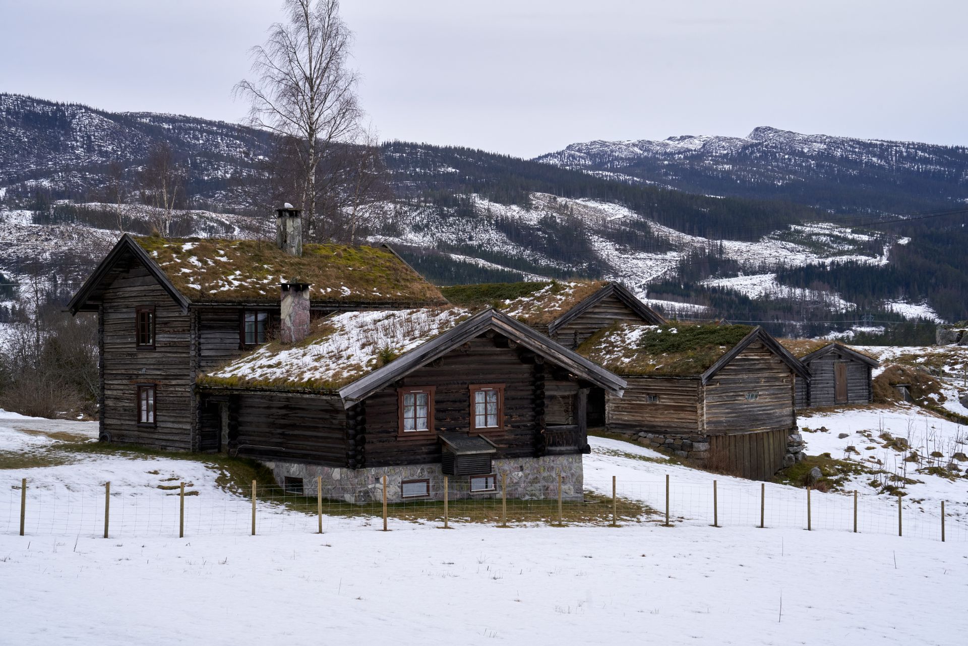 Idyllic snowy scene of traditional Norwegian log cabins nestled in the winter countryside of Eggedal, Norway.