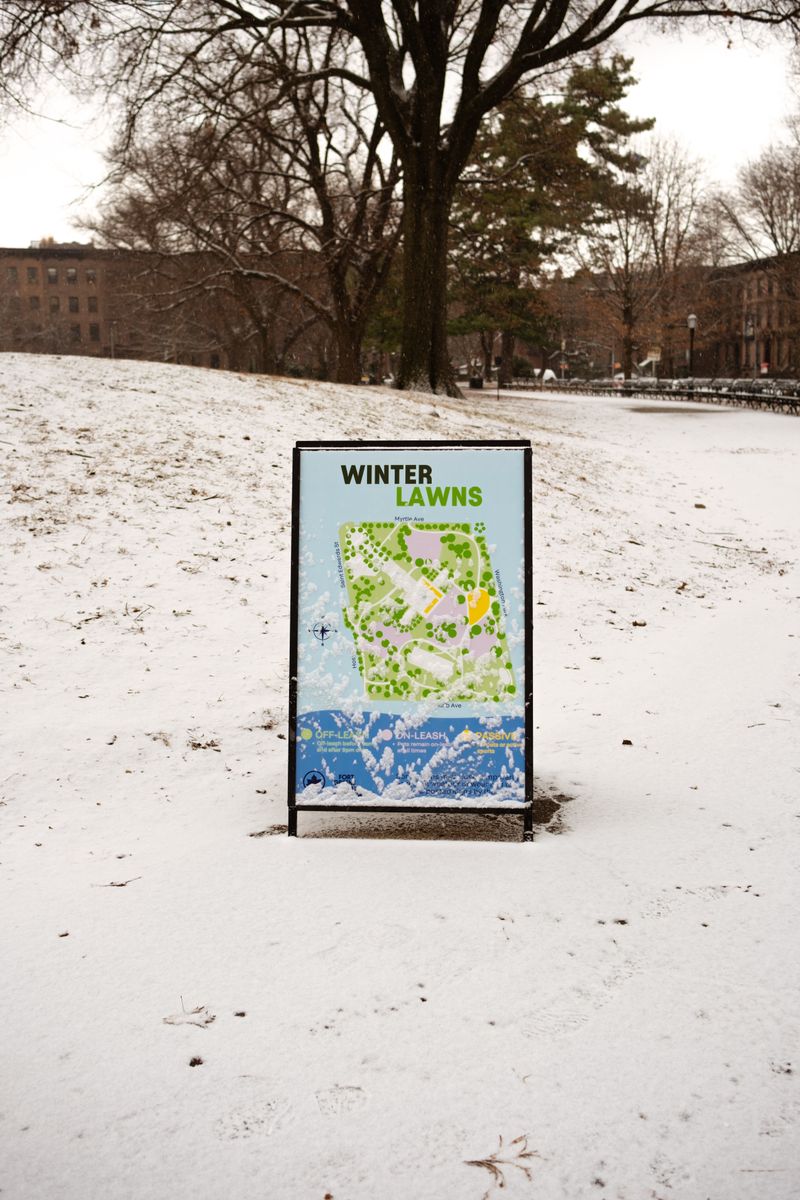 Winter Lawn Care Tips: Protect Your Lawn Through the Cold Season