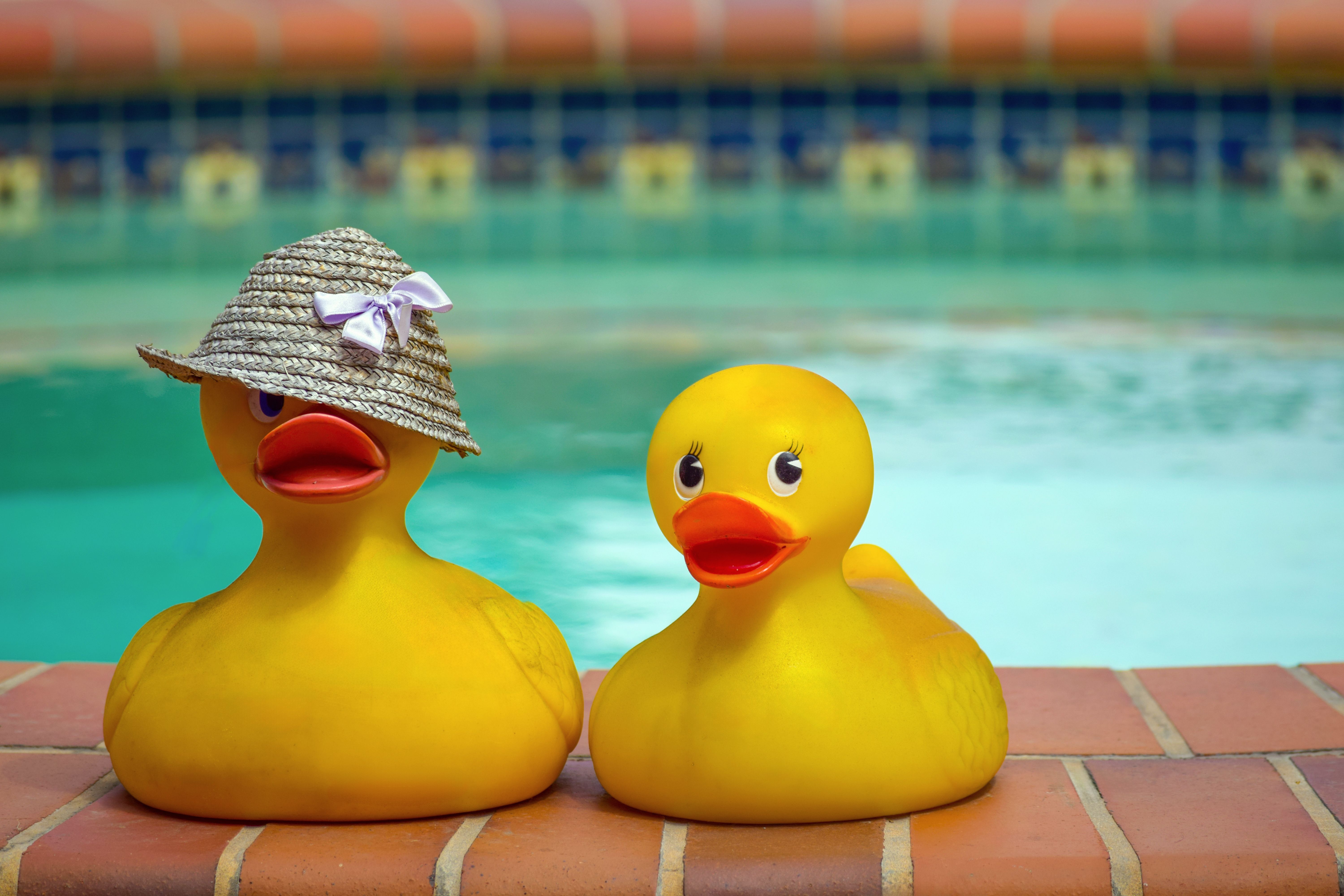 Unique Novelty Gifts for Hot Weather Activities: Beach & Poo