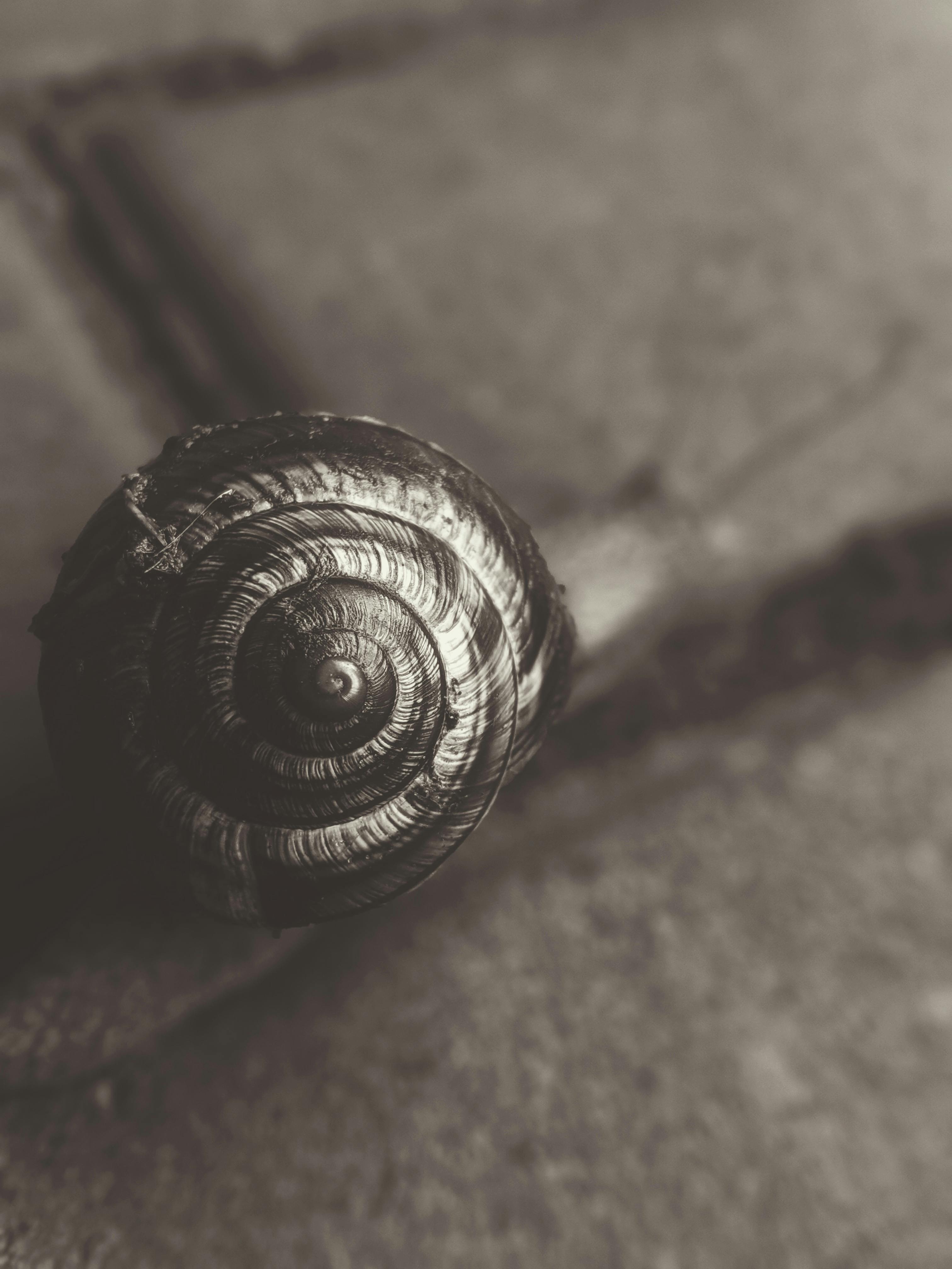 Photo by Valeriia Miller