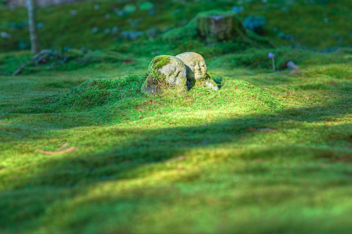 Free Gray Rock Formation on Grass Field Stock Photo