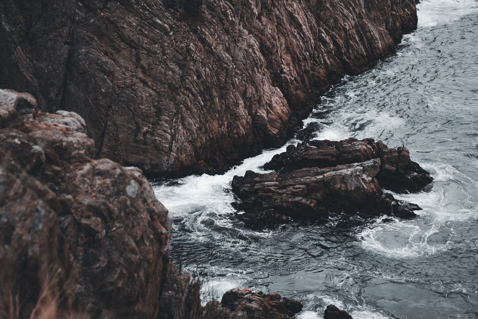 Illustrative coastal field-journal scene — Erik Mclean on Pexels