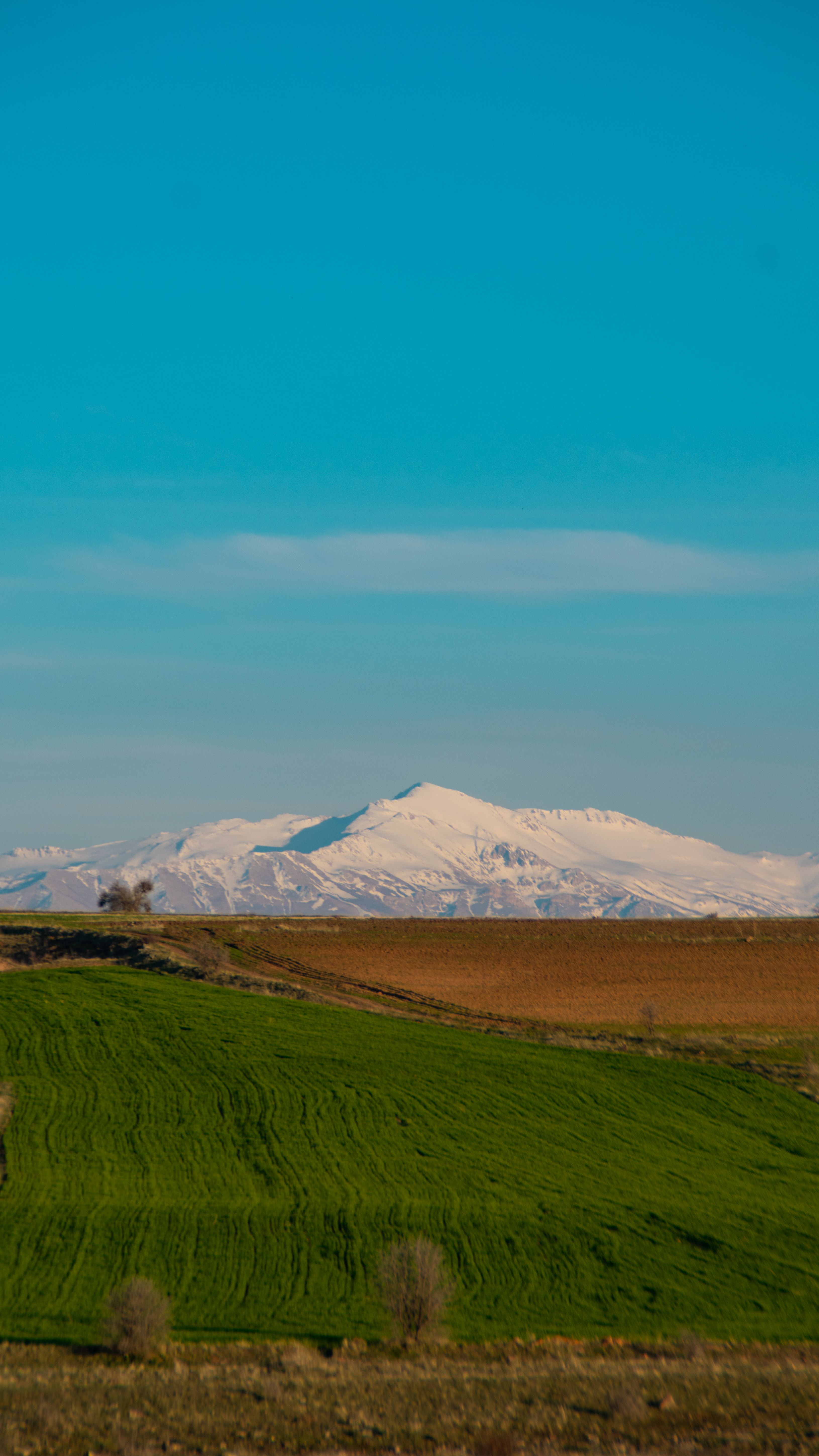 Serene view of Mount Erciyes with green fields under a clear blue sky in Kayseri, Türkiye.