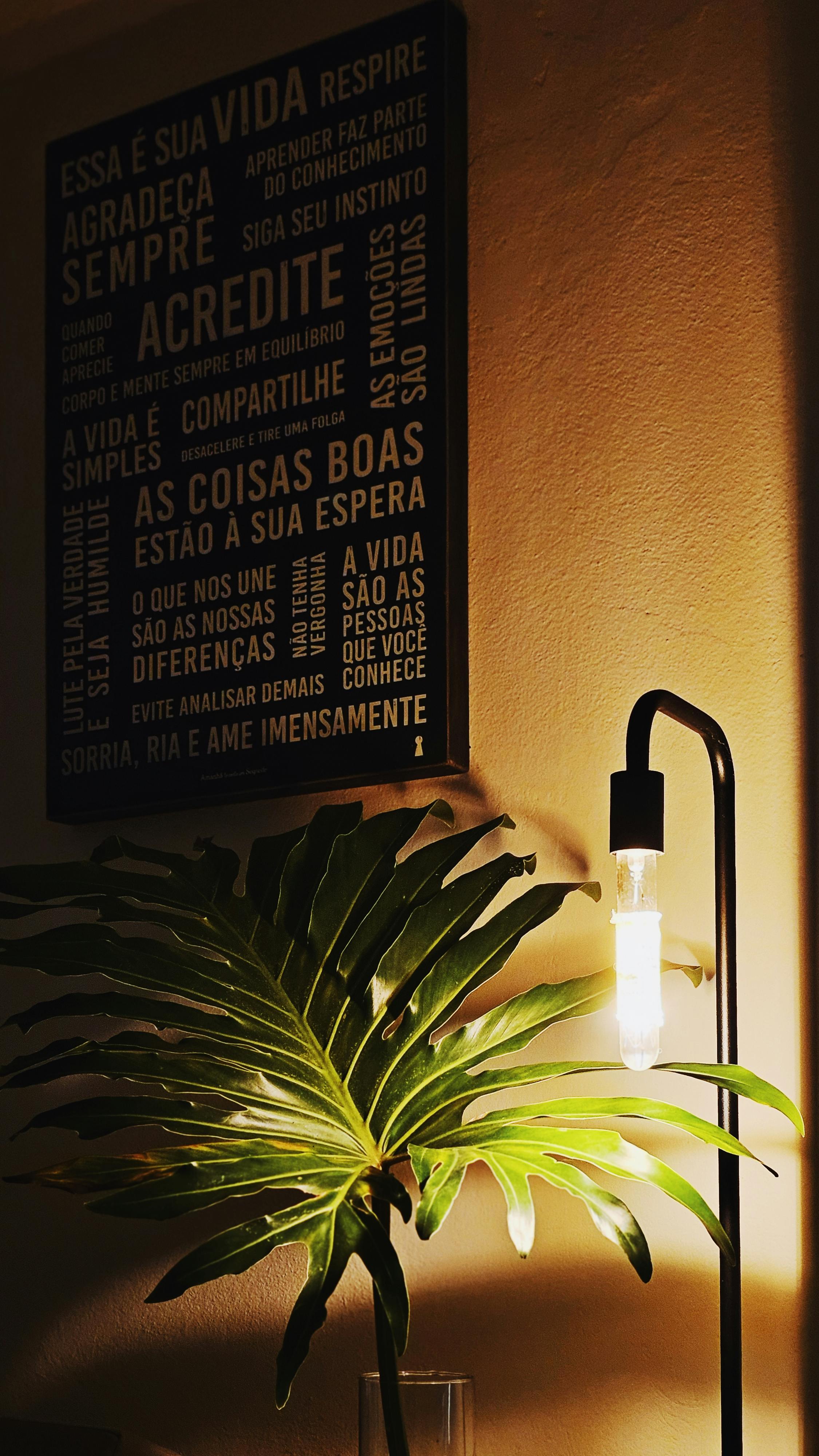 Что такое интеллектуальные источники света?