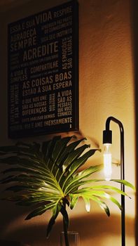 Cozy room with lamp, tropical plant, and motivational text on wall.