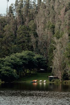 Peaceful lake surrounded by lush forest in Tamil Nadu, India, at daytime.