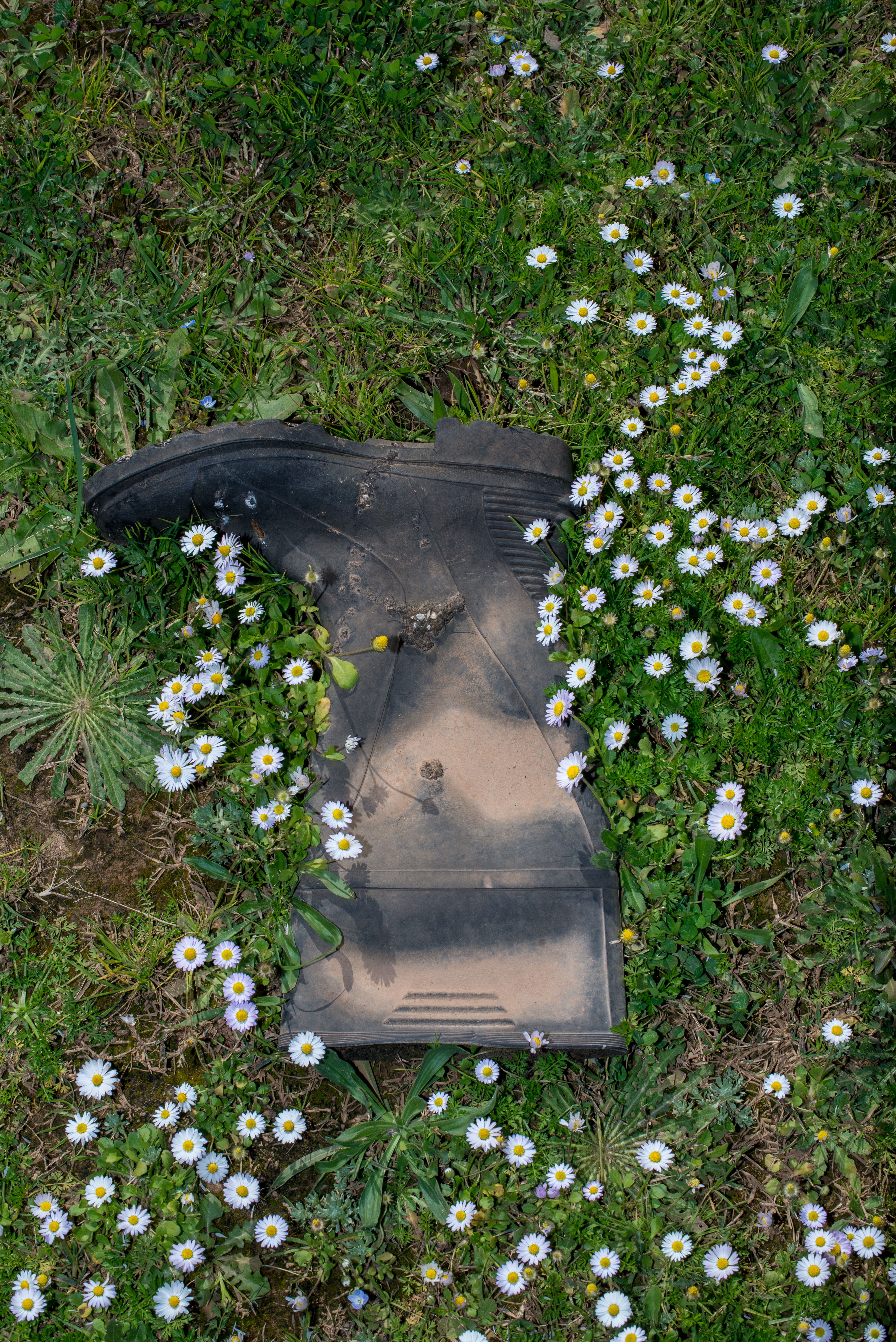 Discarded Boot Photos, Download The BEST Free Discarded Boot Stock ...