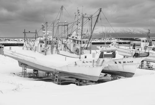 Snow Alerts: La Niña Could Target These Key Regions