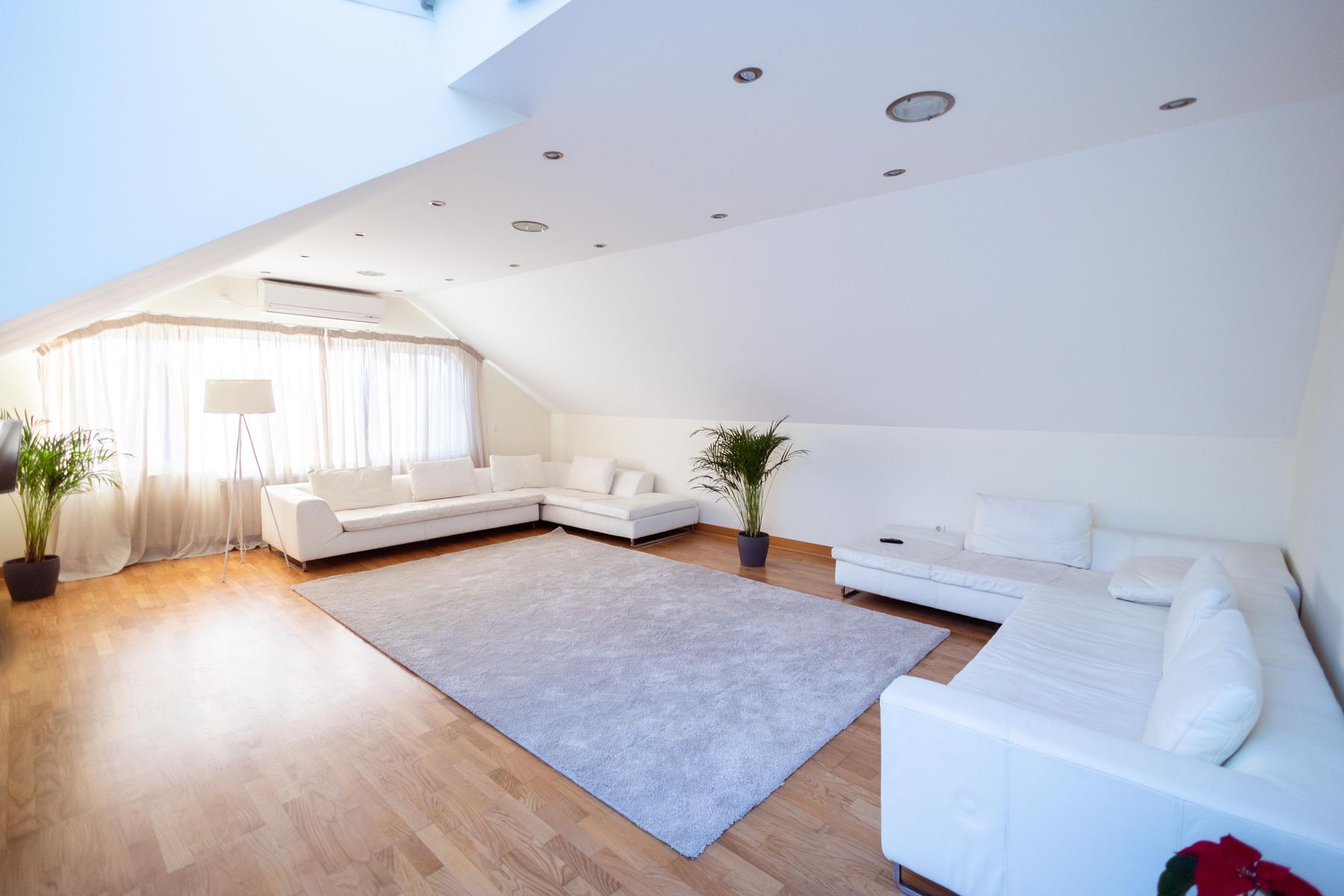Bright living room with white sofas, plants and strong natural light