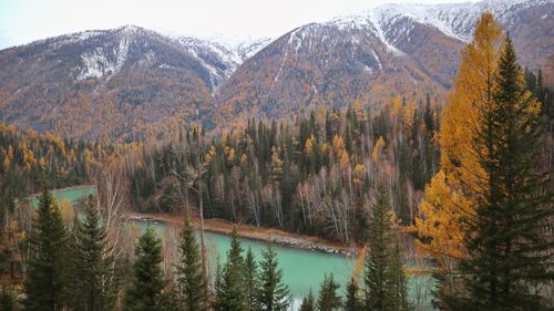 Free Breathtaking view of a turquoise river winding through colorful autumn trees and mountainous terrain. Stock Photo