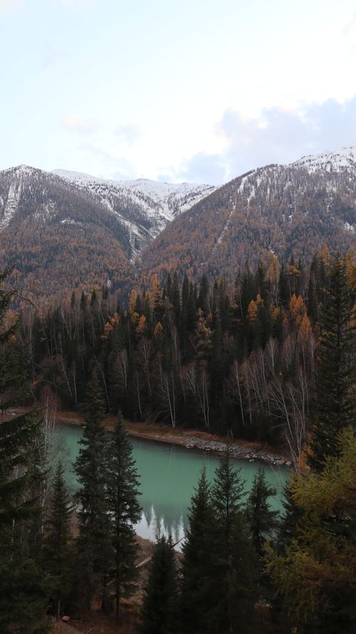 Free Stunning view of snow-capped mountains and a tranquil river surrounded by dense forest. Stock Photo