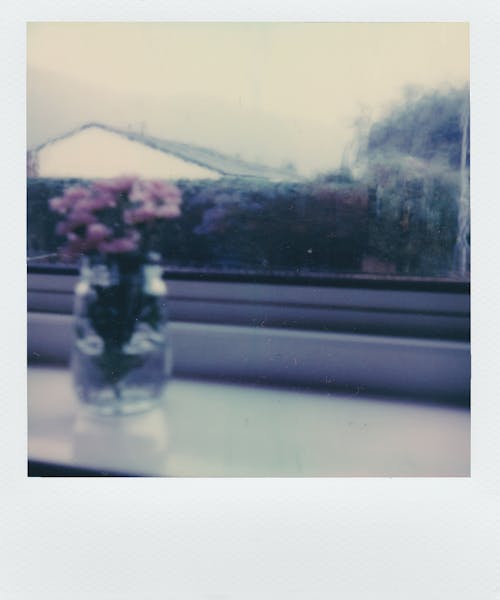Розовые цветы в прозрачной банке