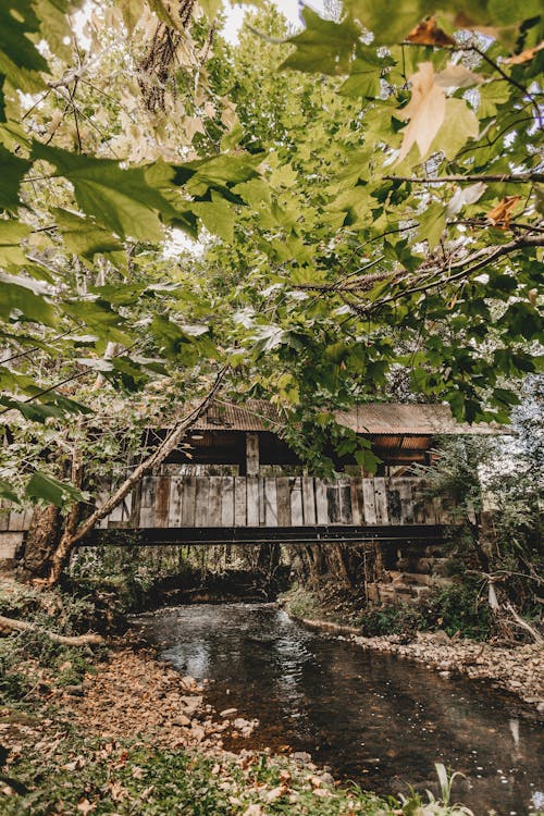 Photo Of Wooden Bridge During Daytime