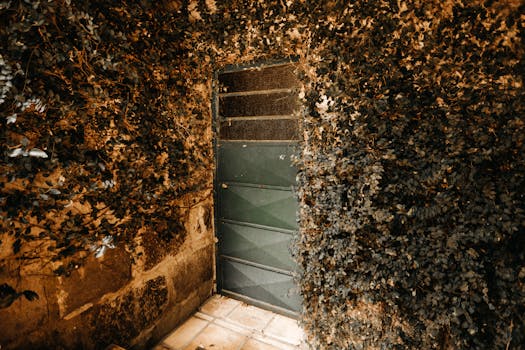 茂密的常春藤环绕着质朴的绿色门，营造出复古的氛围