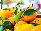 户外市场上，绿叶橙子生机勃勃地展示着，非常适合新鲜食品主题