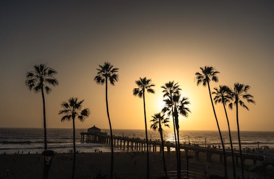 Serene sunset over Manhattan Beach Pier with tall palm trees silhouetted against the sky.