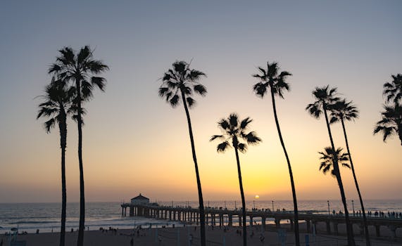 Stunning sunset at Manhattan Beach Pier with silhouetted palm trees, capturing the essence of California beach life.