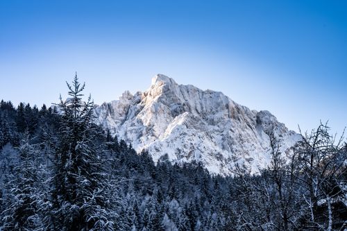 Free Majestic snow-covered mountains and forests in Planica, Slovenia on a clear winter day. Stock Photo