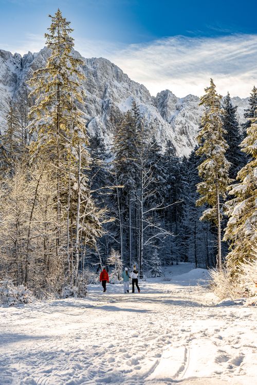 Free Three people enjoy a winter hike in the snowy landscape of Planica, Slovenia. Stock Photo