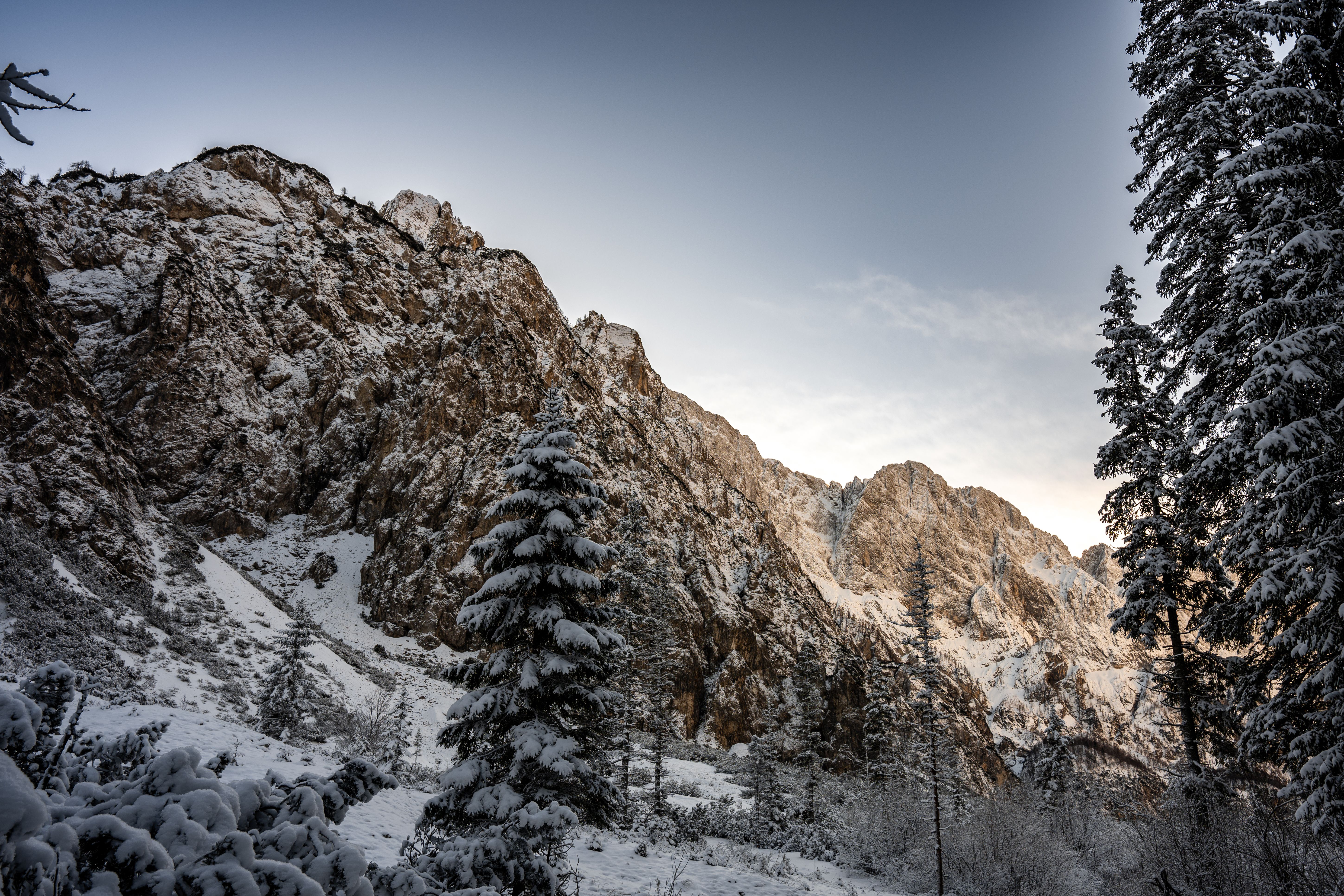 A serene winter landscape of snowy mountains and trees in Planica, Slovenia.