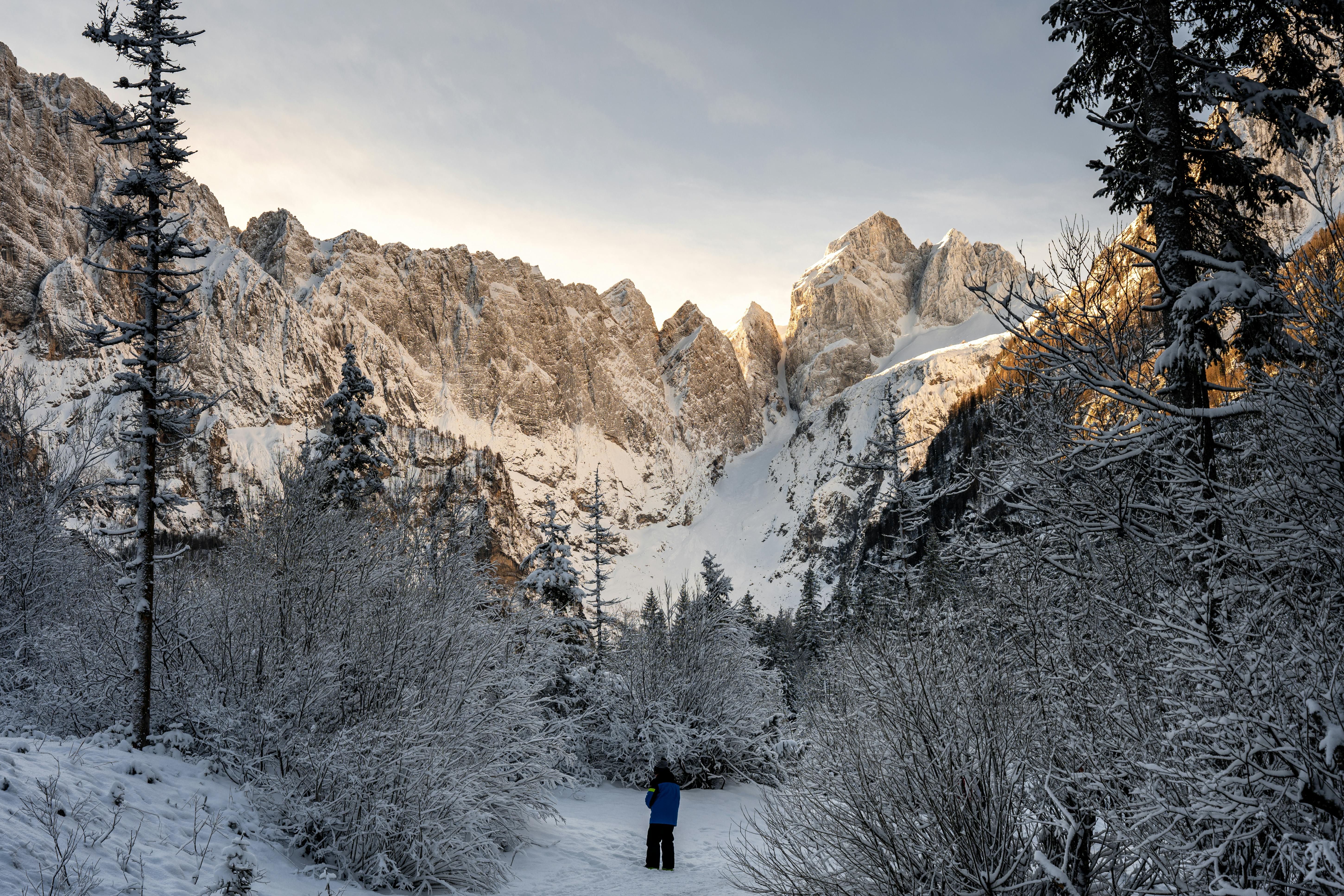 Photo of Planica
