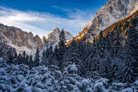 Snow-covered mountains and forests in Planica, Slovenia create a stunning winter wonderland.