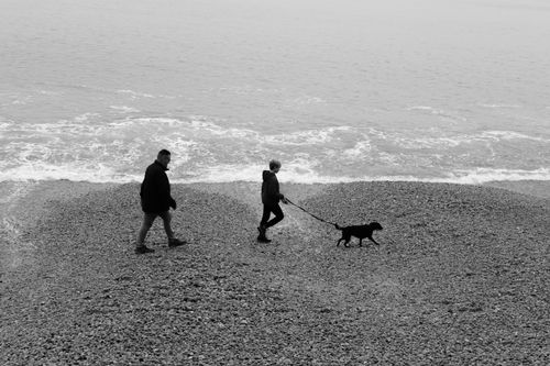 Free A serene moment captured with two people and a dog walking by the ocean. Stock Photo