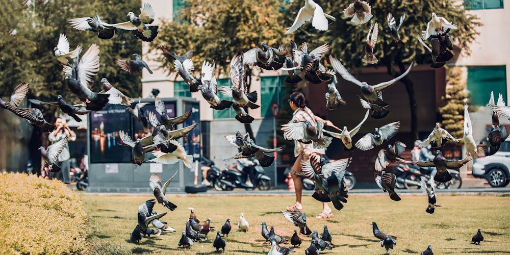 Khám Phá Thế Giới Manclub - Nơi Thành Công Và Sự Đam Mê Gặp Gỡ