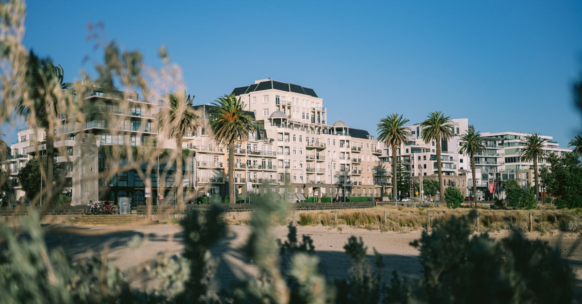 Modern beachfront buildings in Port Melbourne with palm trees under a clear blue sky.
